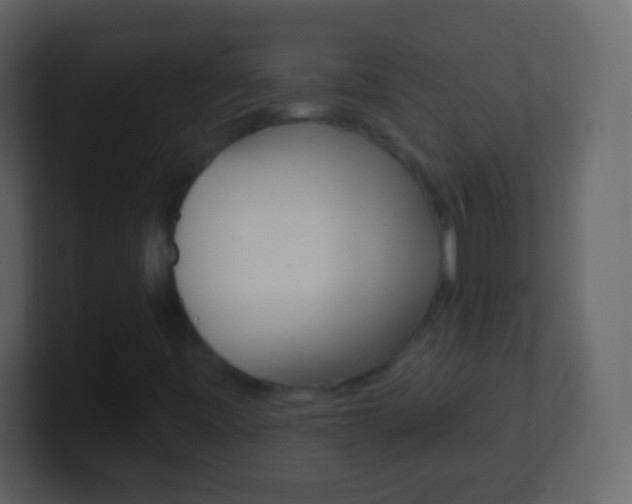 X0000101451443200807071101