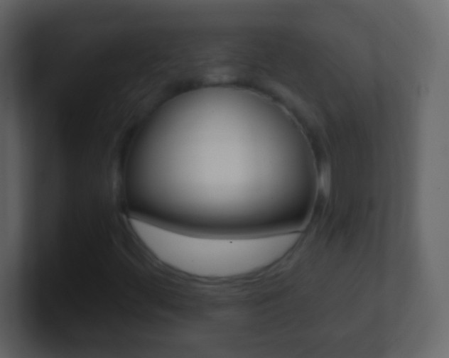 X0000101451444200807071101
