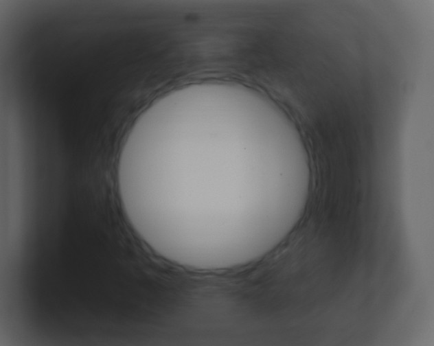 X0000101451445200807071101