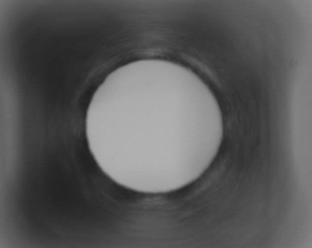 X0000101451447200807071101