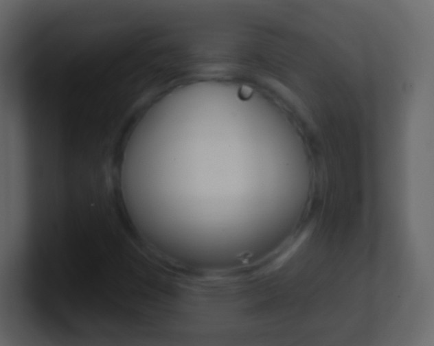 X0000101451449200807071101