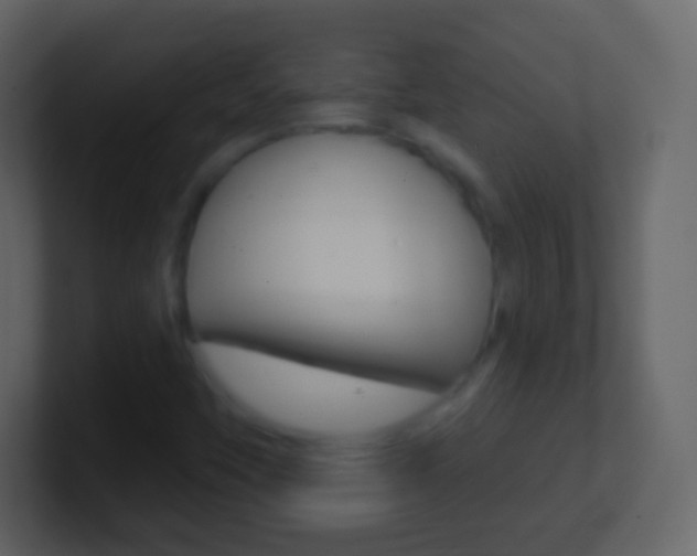 X0000101451451200807071101