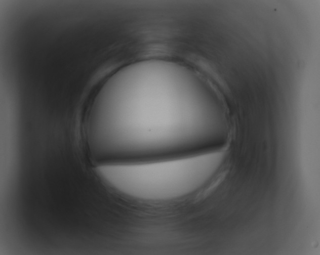 X0000101451453200807071101