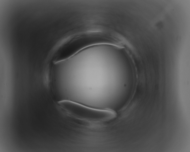 X0000101451456200807071101