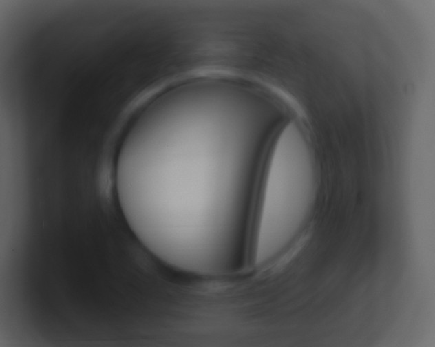 X0000101451461200807071100