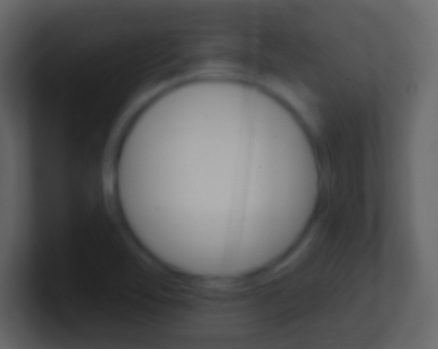X0000101451462200807071100