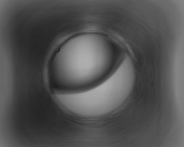 X0000101451464200807071100
