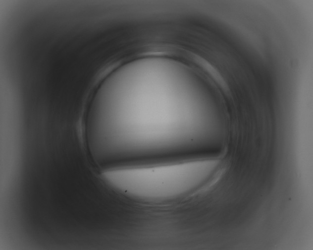 X0000101451465200807071100