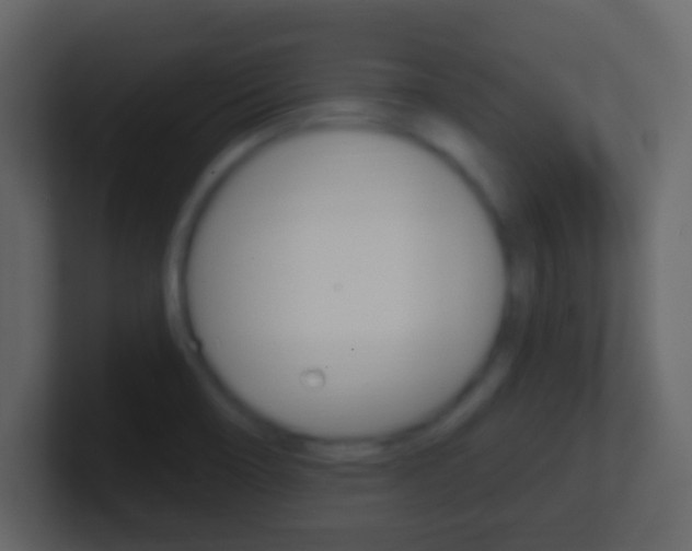 X0000101451466200807071100