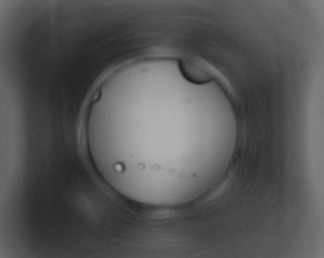 X0000101451467200807071100