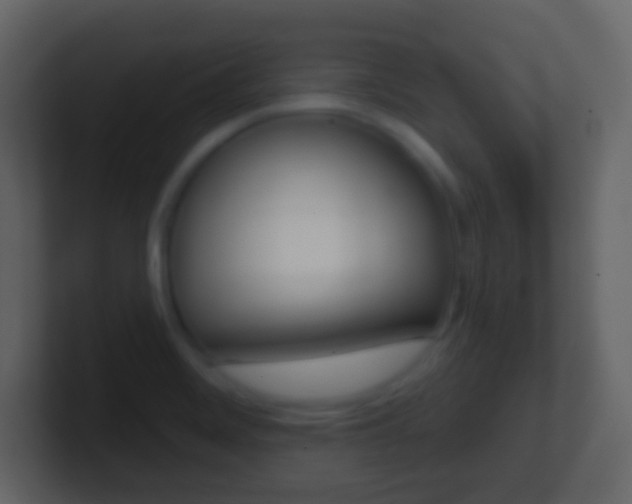 X0000101451468200807071100
