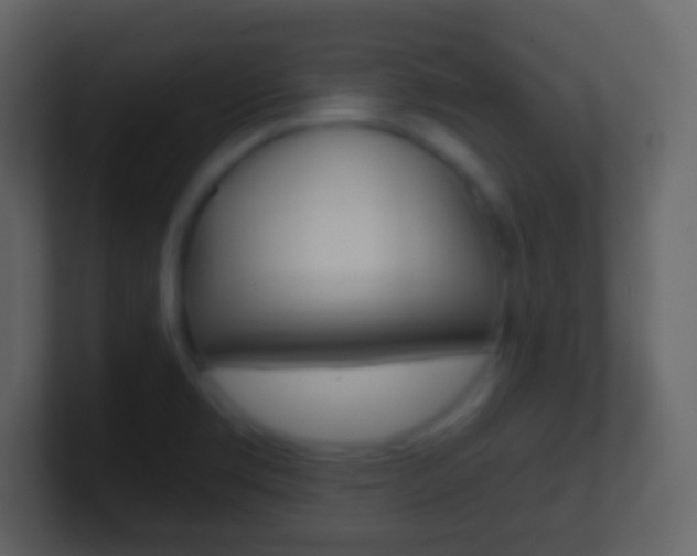 X0000101451469200807071100