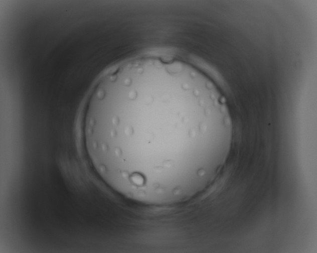 X0000101451471200807071100