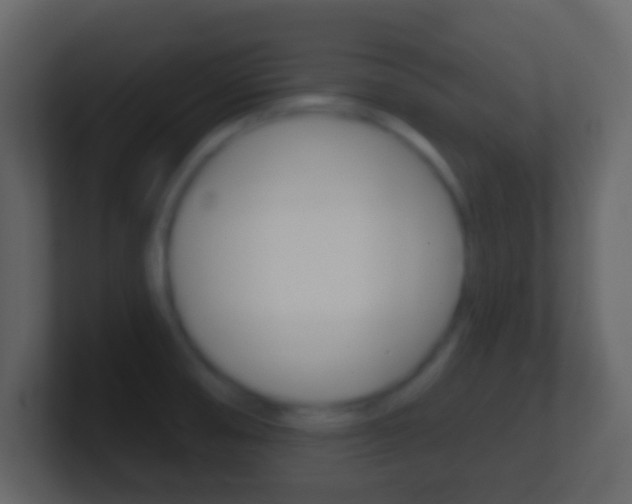 X0000101451474200807071100