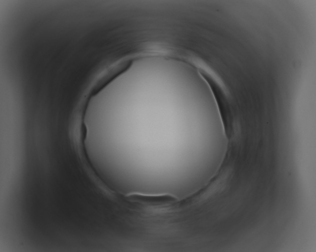 X0000101451477200807071100