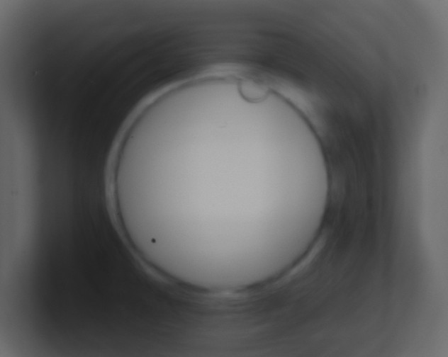 X0000101451478200807071100