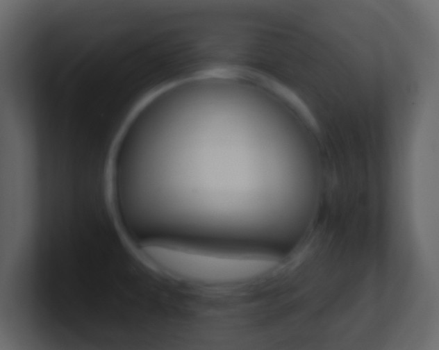 X0000101451479200807071100