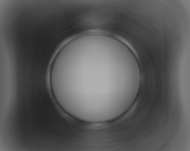 X0000101451482200807071100