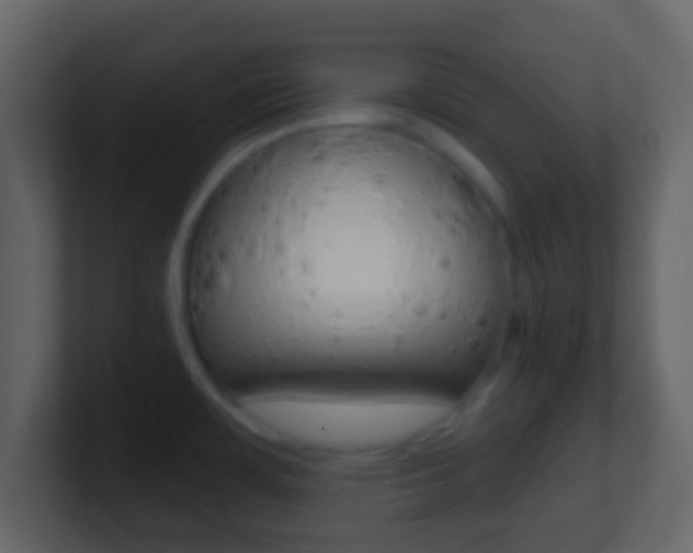 X0000101451483200807071100