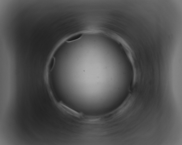 X0000101451484200807071100