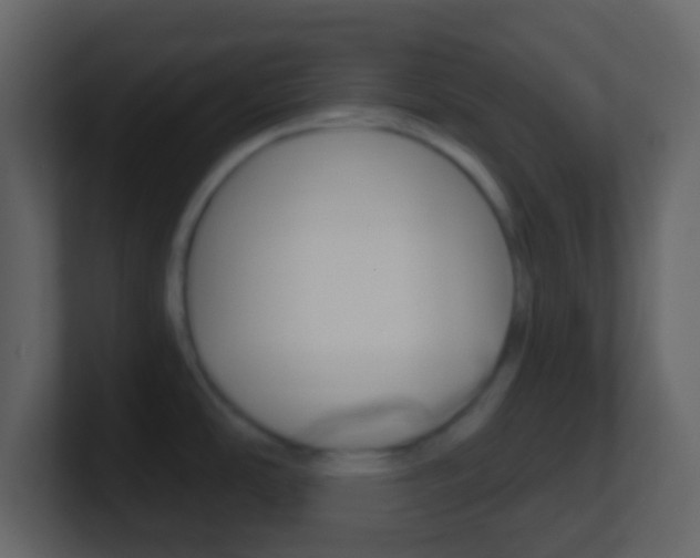X0000101451486200807071100