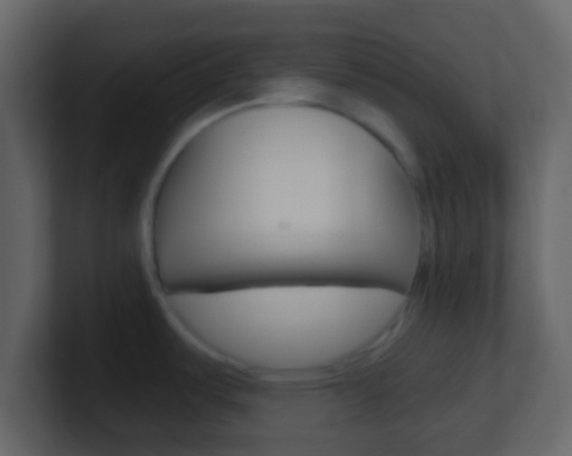 X0000101451487200807071100
