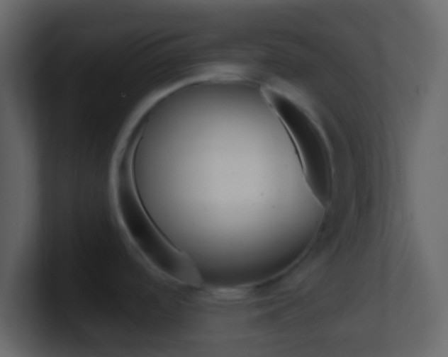X0000101451488200807071100