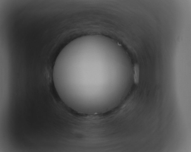X0000101451491200807071100