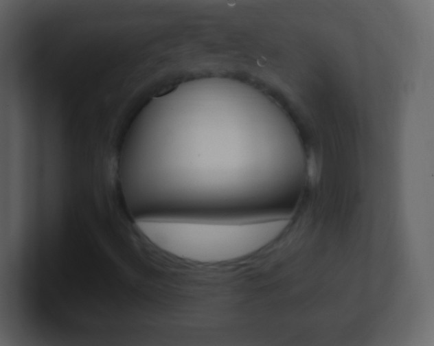 X0000101451492200807071100