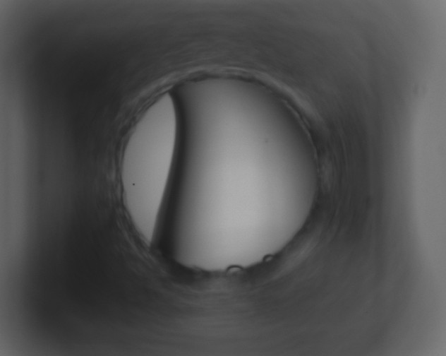 X0000101451494200807071100