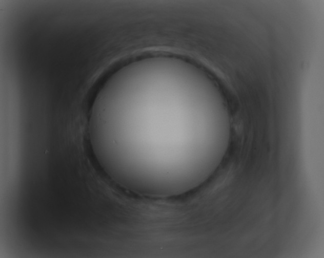 X0000101451495200807071100