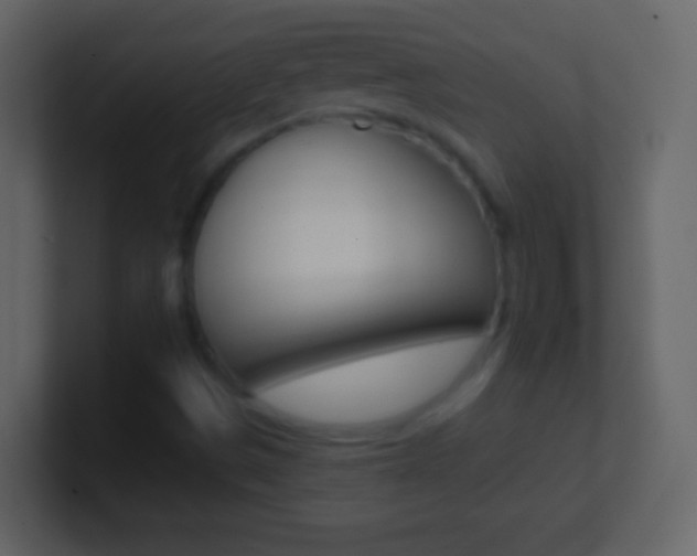 X0000101451497200807071100