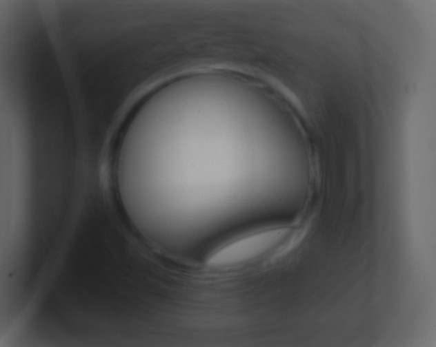 X0000101451501200807071100