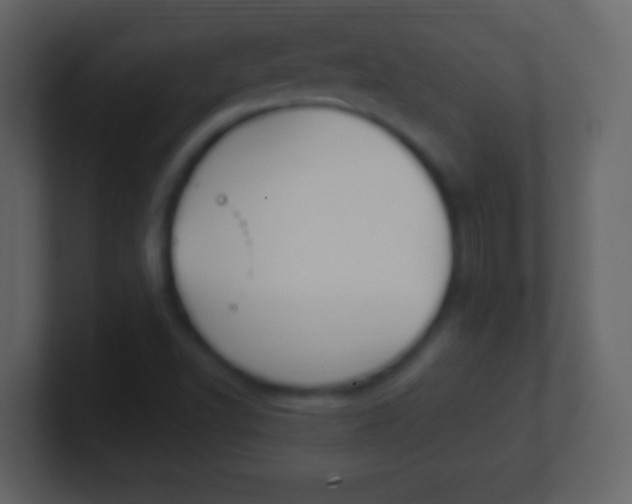 X0000101451502200807071100