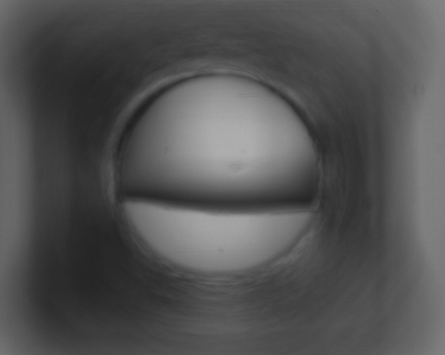 X0000101451503200807071100