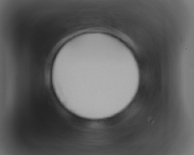 X0000101451504200807071100