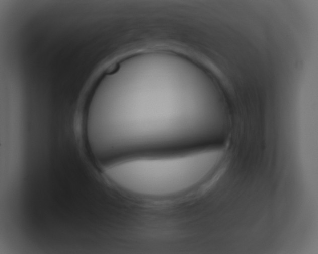 X0000101451506200807071100
