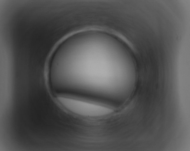 X0000101451508200807071100