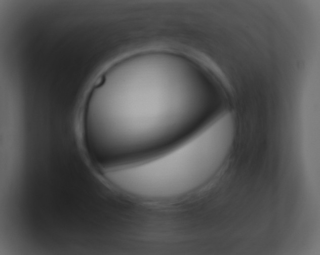 X0000101451512200807071100