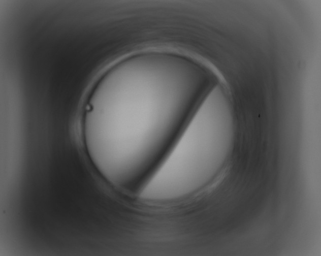 X0000101451517200807071100