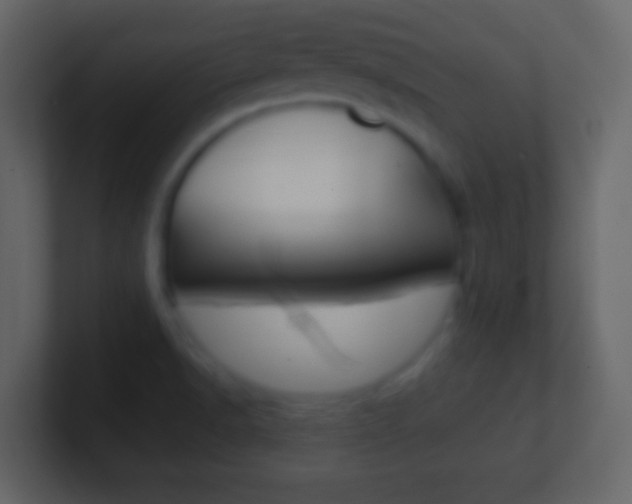 X0000101451518200807071100