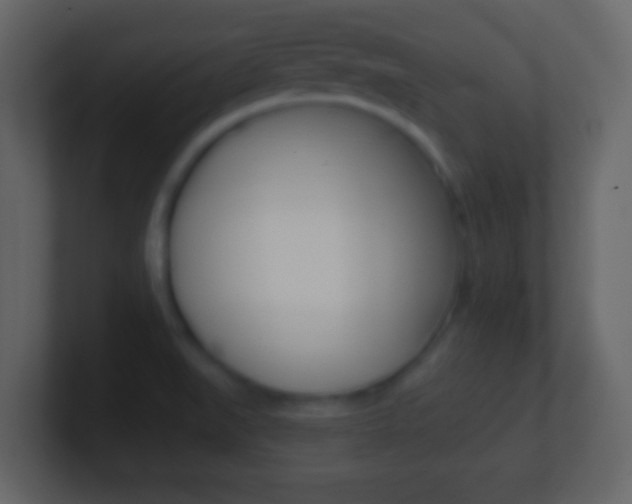 X0000101451519200807071100