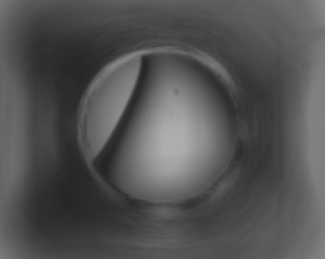 X0000101451520200807071100