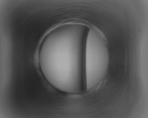 X0000101451522200807071100