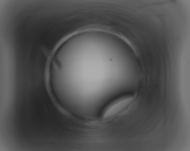 X0000101451523200807071100