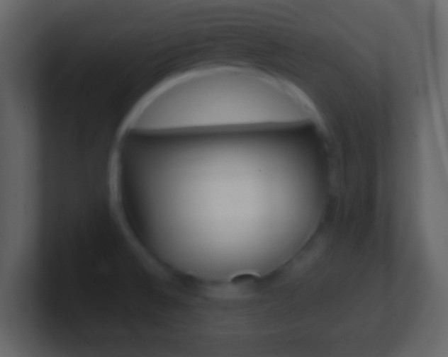 X0000101451524200807071100