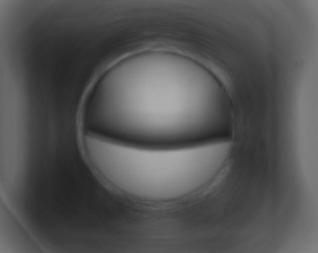 X0000101451525200807071100
