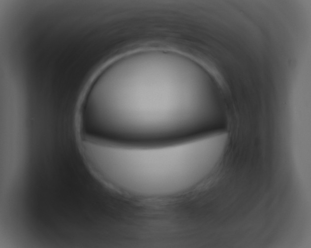 X0000101451527200807071100