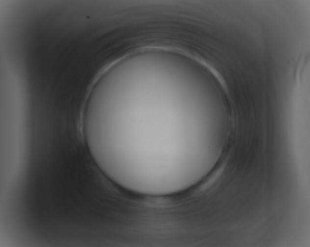 X0000101451529200807071100