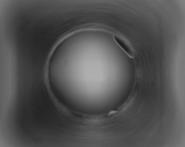 X0000101451530200807071100